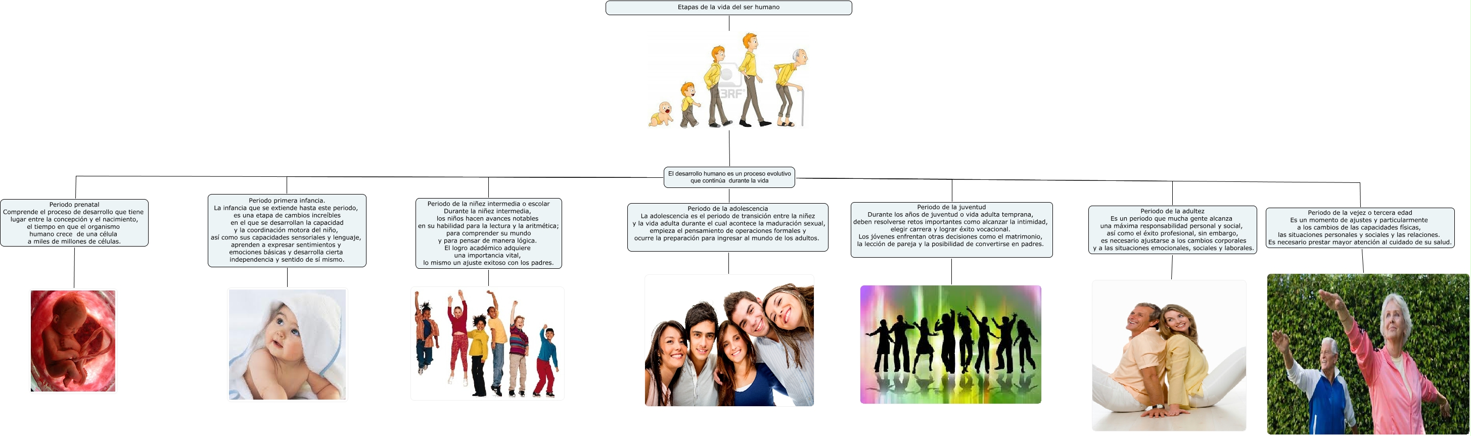 Etapas Del Desarrollo Timeline Timetoast Timelines Po 4451